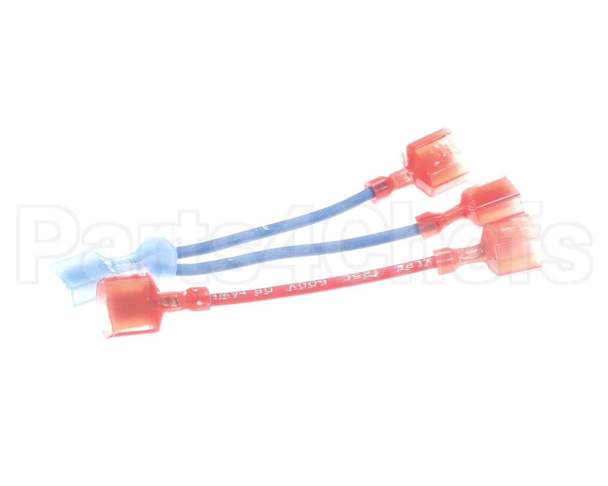 101313 Blodgett Wire Kit