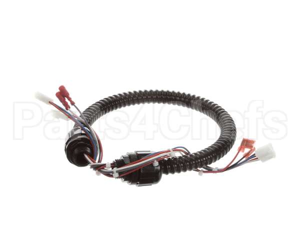 1015-V2-2 Globe Harness A3875, A3750