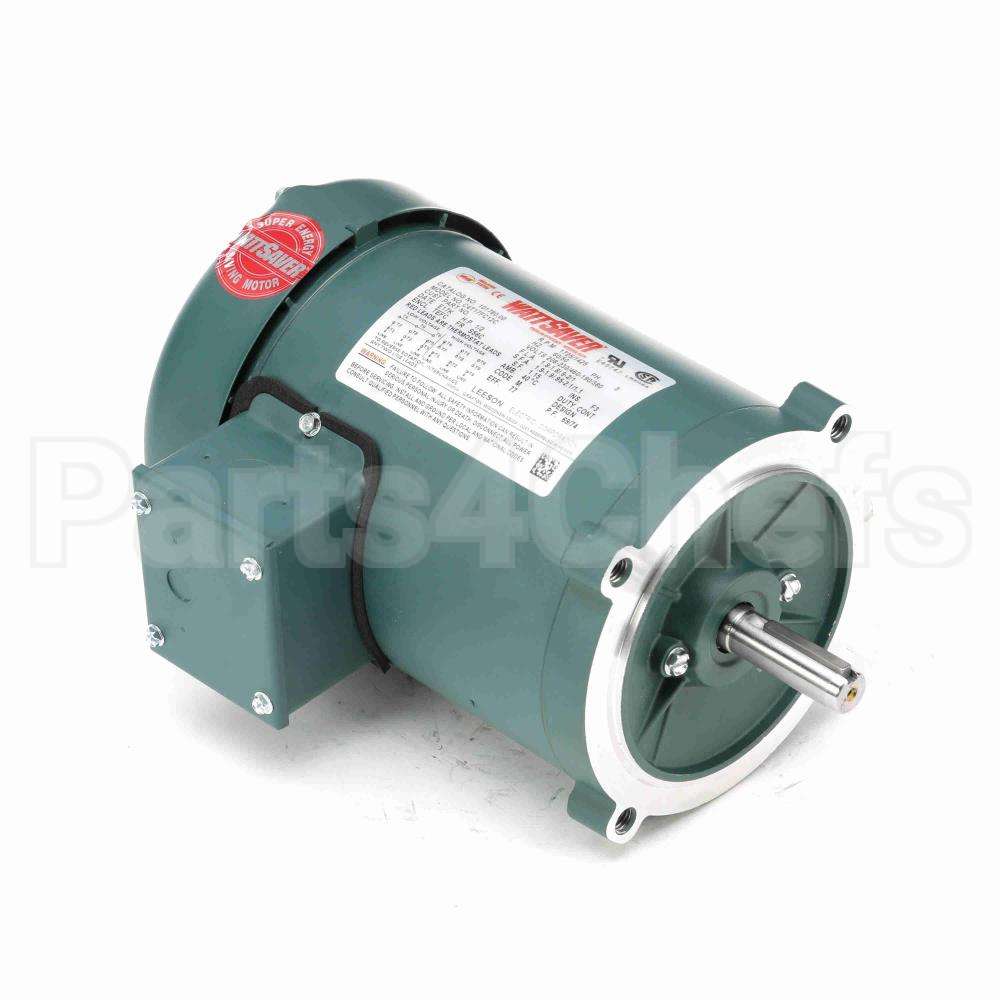 101780 Leeson Motor