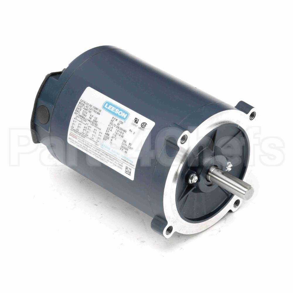 102861 Leeson Motor