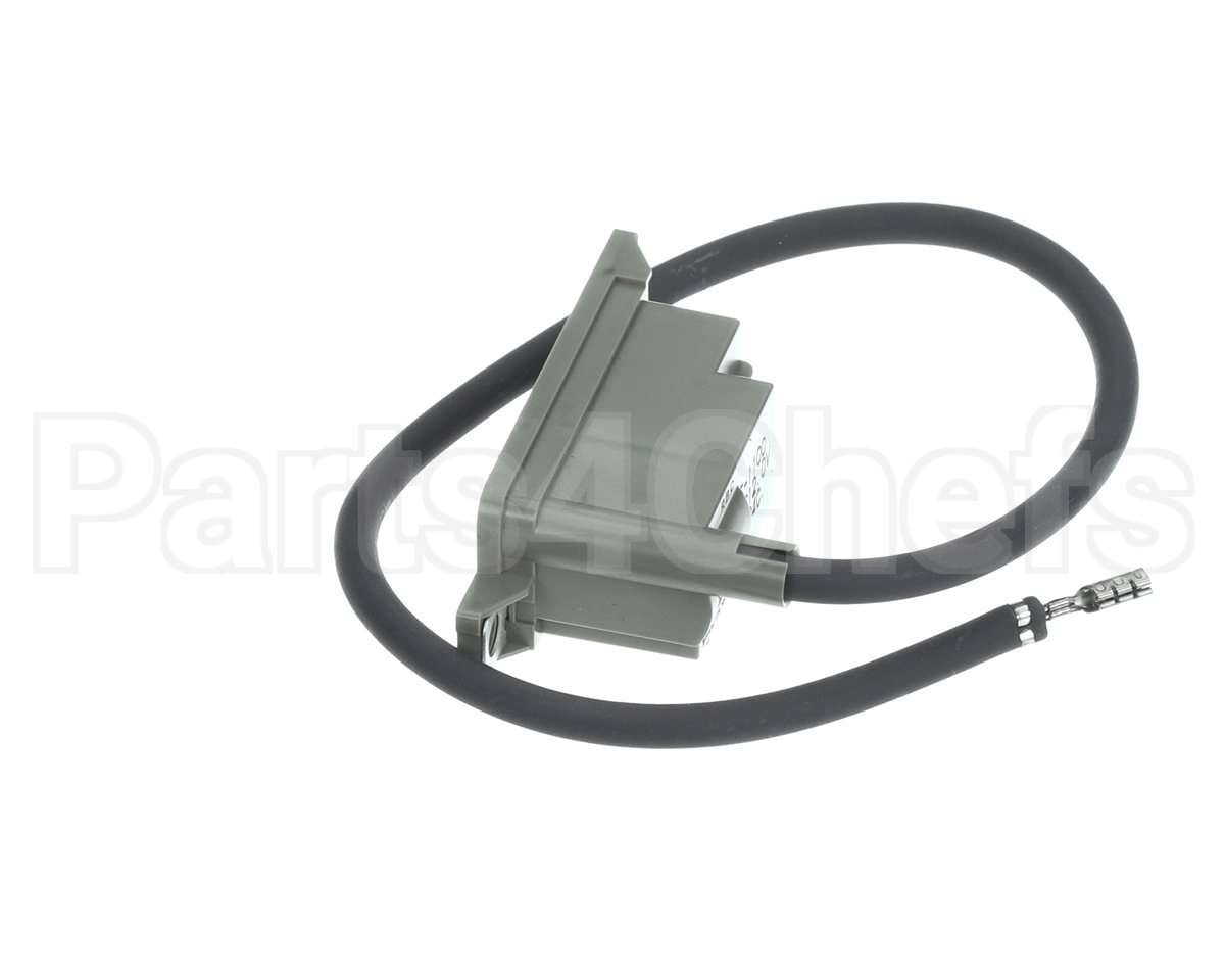 105000230 Rinnai Iginitor Assy.