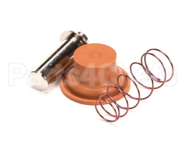 1057.00009.00 Fetco Valve Rebuild Kit, Dsv10