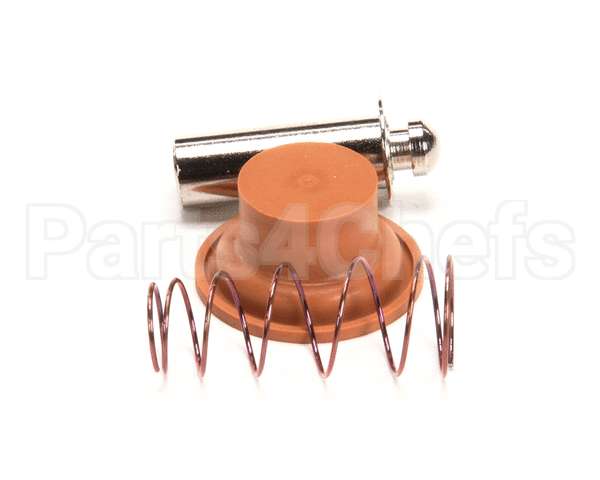 1057.00009.00 Fetco Valve Rebuild Kit, Dsv10