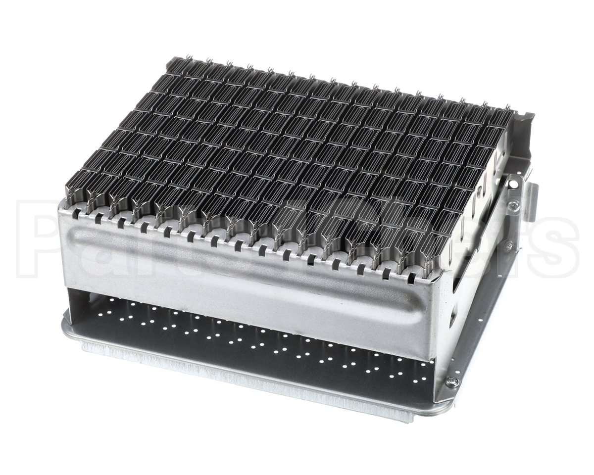 106000012 Rinnai Burner Unit Asy (Ng)