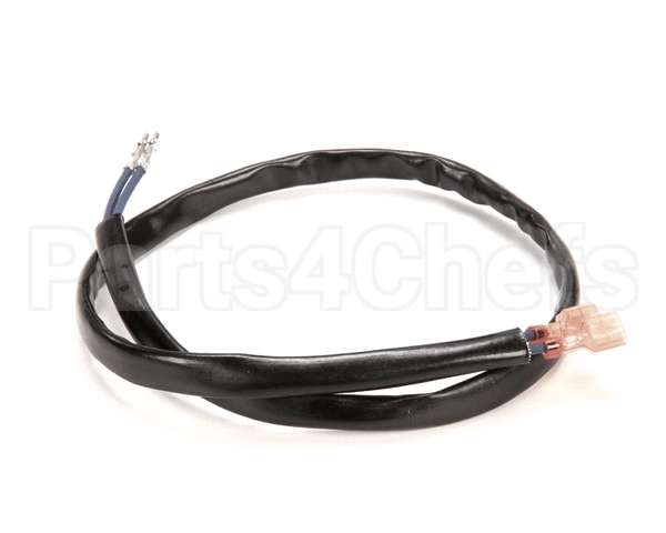 1066338 Frymaster Harness Assembly, Drain Switch Fb
