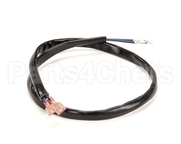 1066338 Frymaster Harness Assembly, Drain Switch Fb