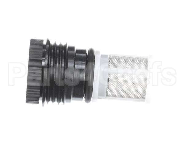 107000317 Rinnai Water Supply Filter Assy.