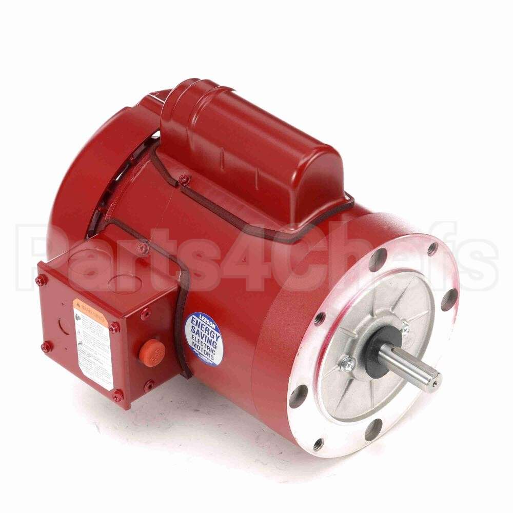 110493 Leeson Motor