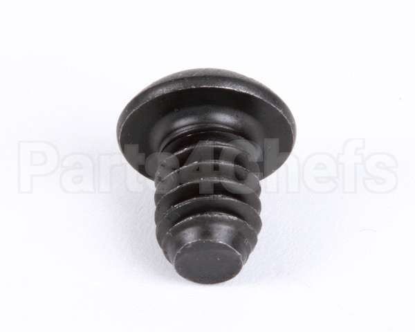 1107 Globe Roller Retaining Screw