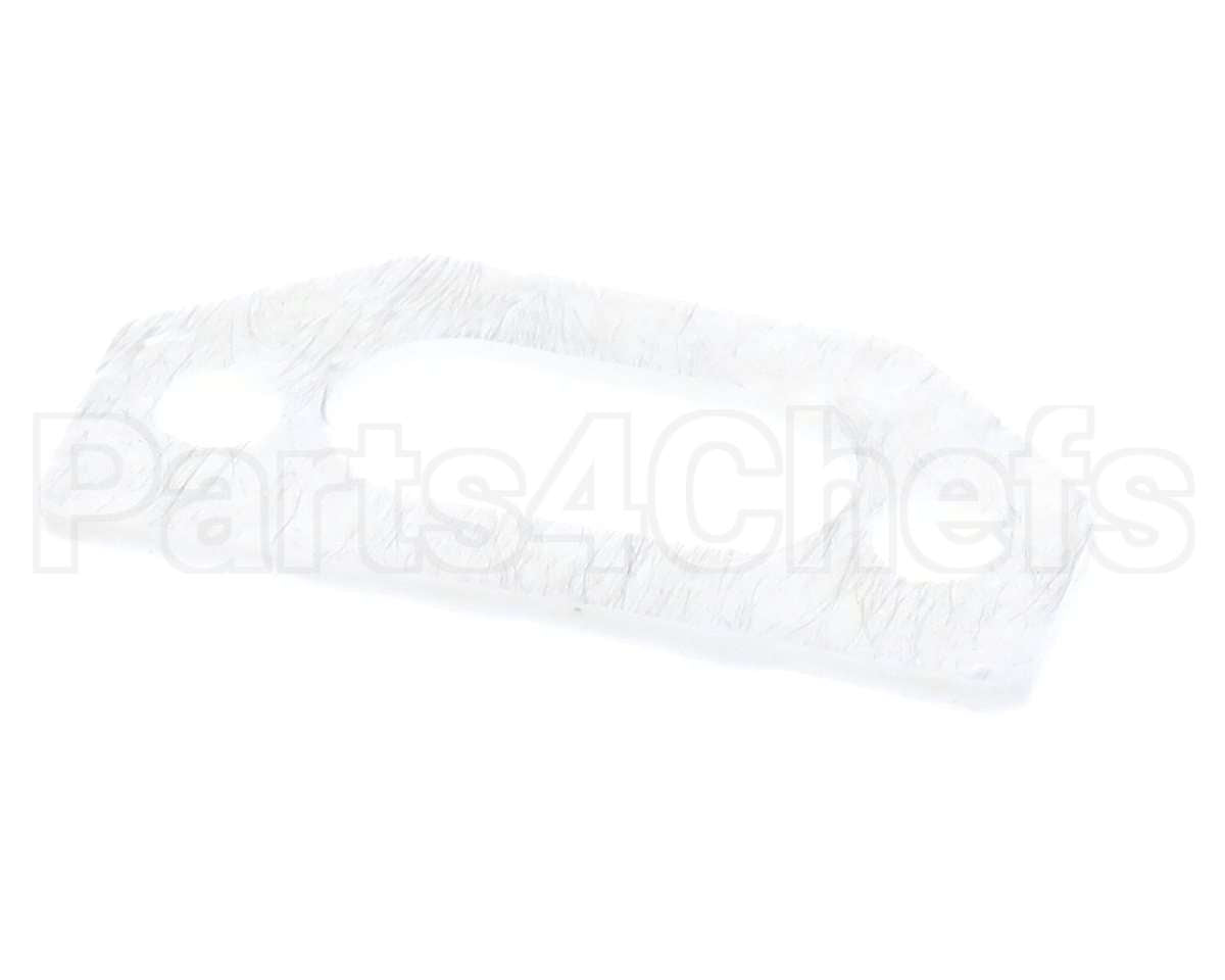 111791 Pvi Ignitor Gasket
