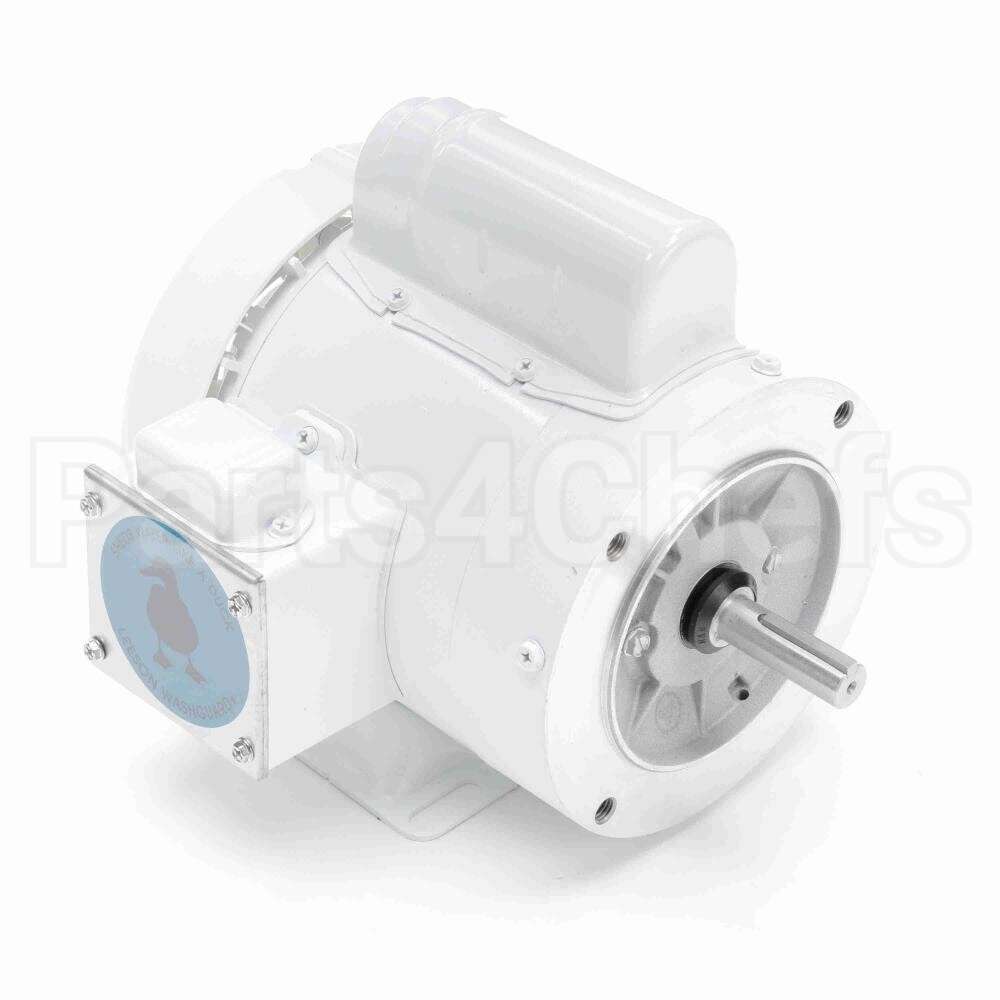 113581 Leeson Motor