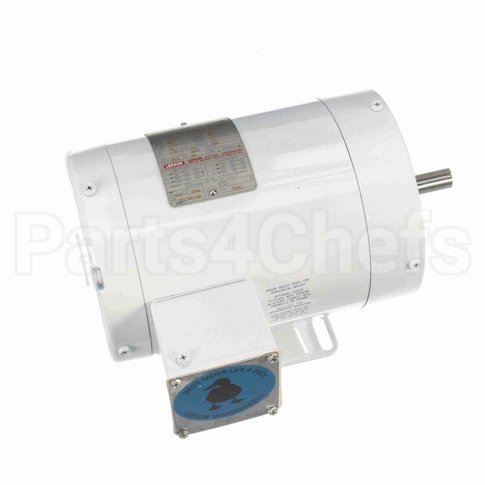 113590 Leeson Motor