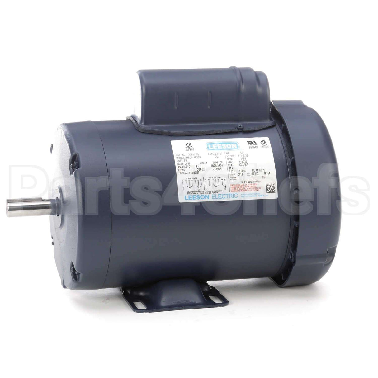 113911 Leeson Motor
