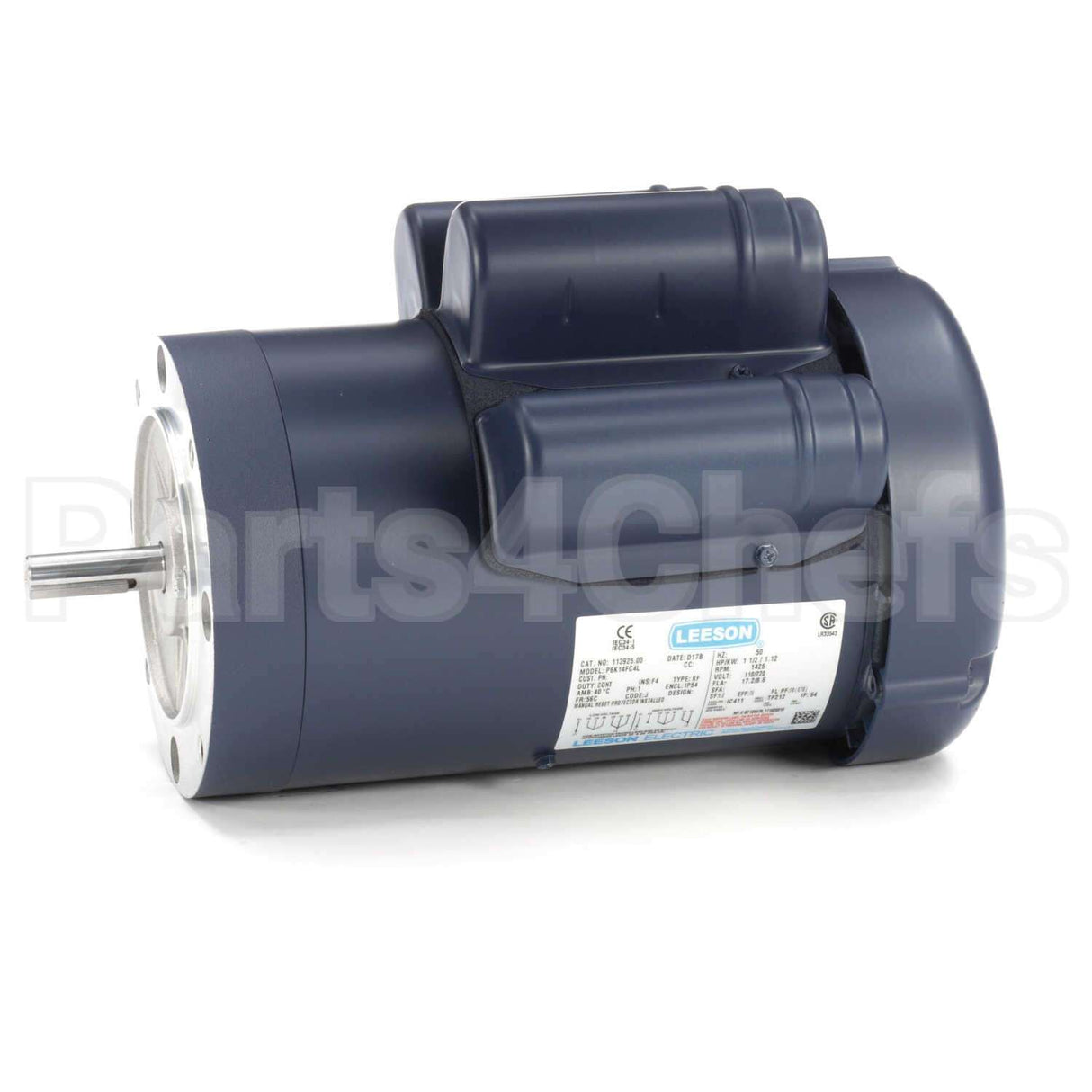 113925 Leeson Motor