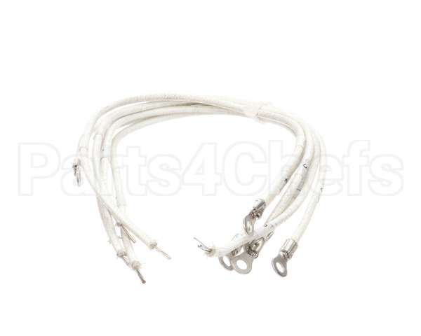 1177878 Southbend Range Element Leads, R2