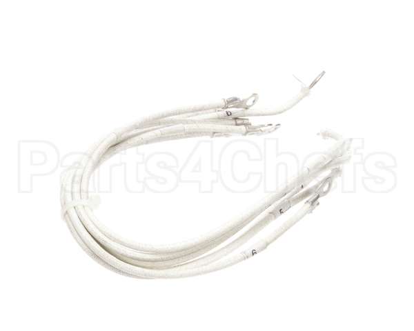 1177878 Southbend Range Element Leads, R2