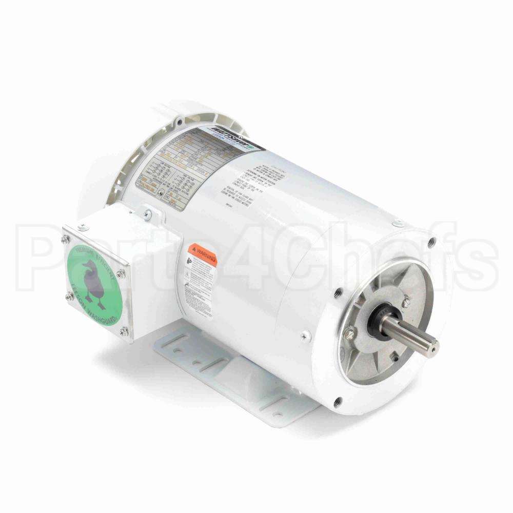 119483 Leeson Motor