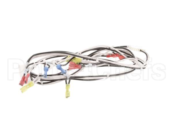 119877 Groen Harness, 120Vac