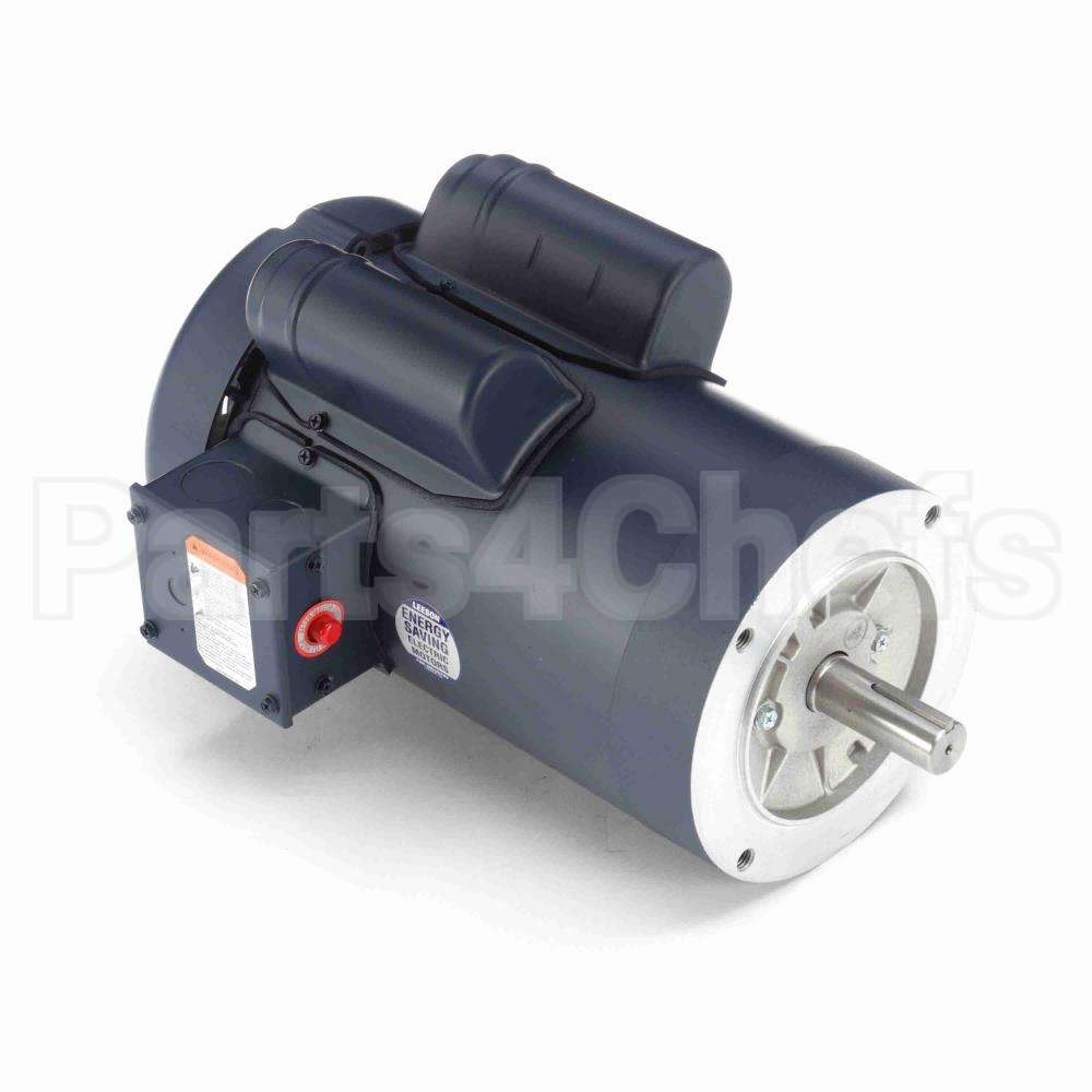 120060 Leeson Motor