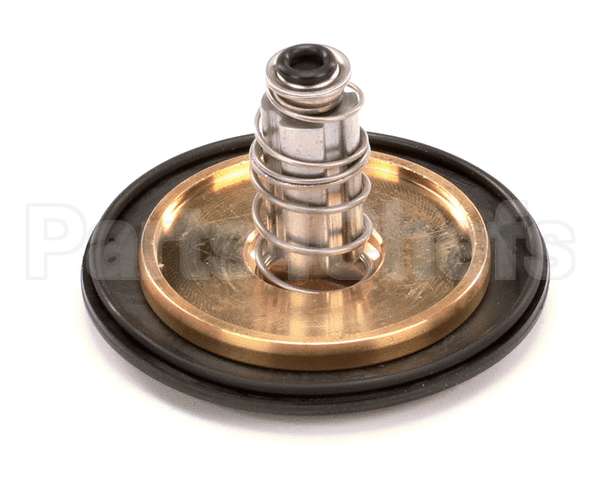 12041 Gaylord 1 Valve Repair Kit
