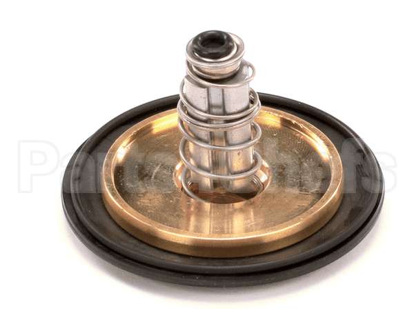 12041 Gaylord 1 Valve Repair Kit