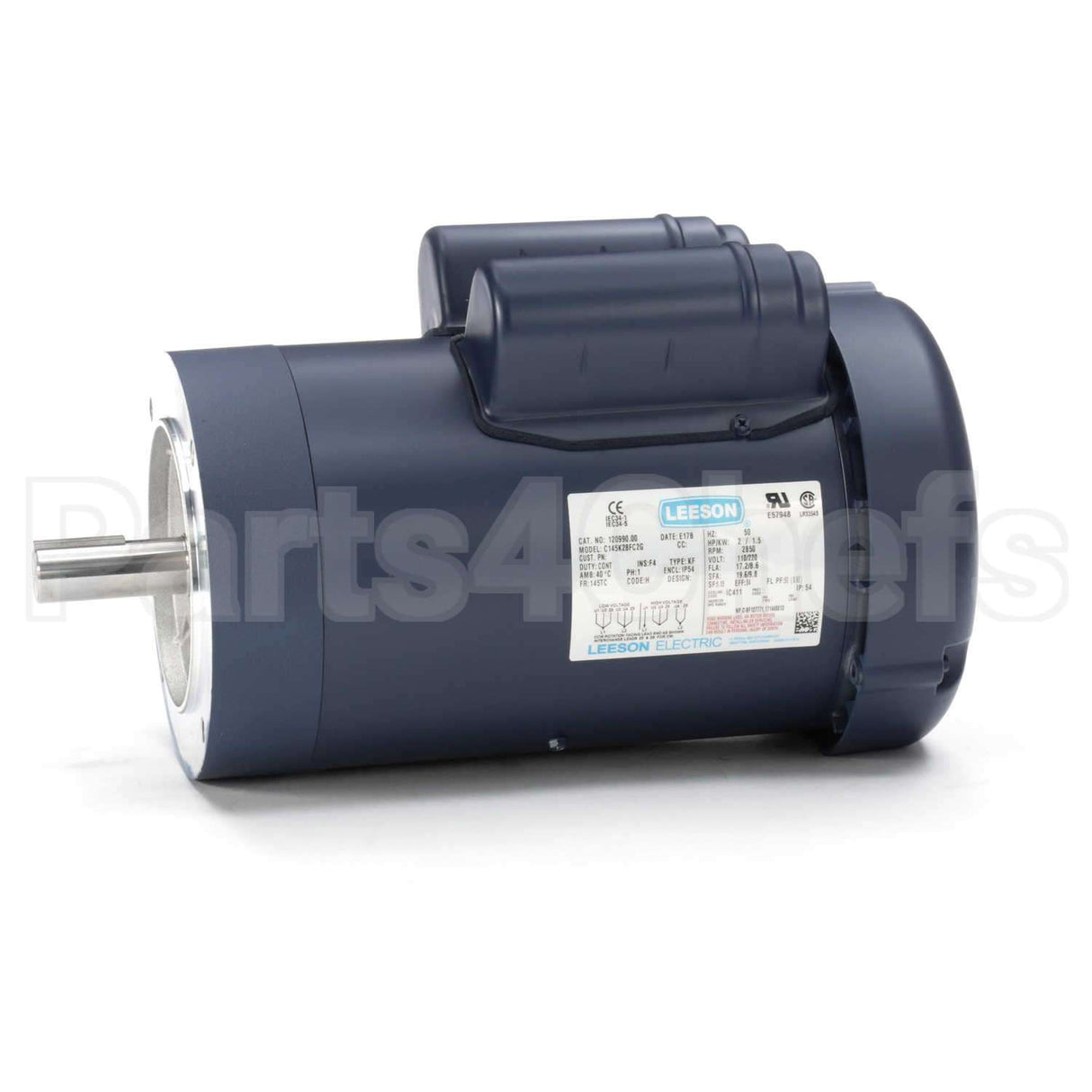 120990 Leeson Motor