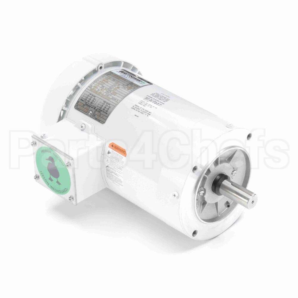 122180 Leeson Motor