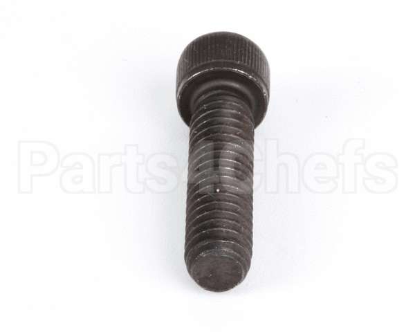 1238 Globe Screw