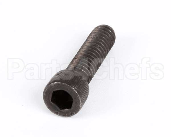 1238 Globe Screw