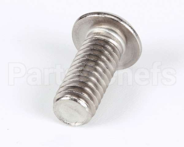 1239 Globe Screw