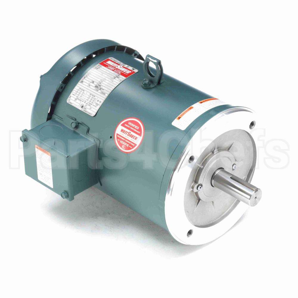 131501 Leeson Motor