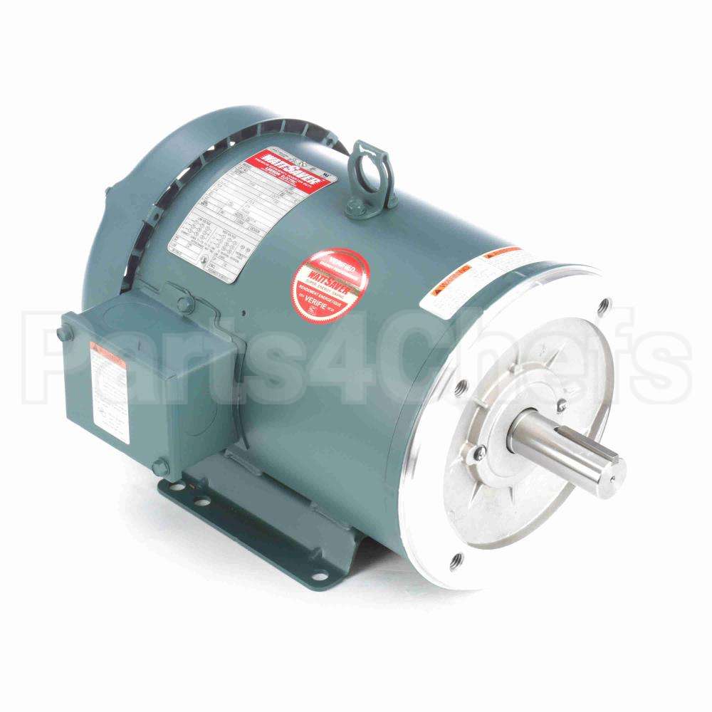 131502 Leeson Motor
