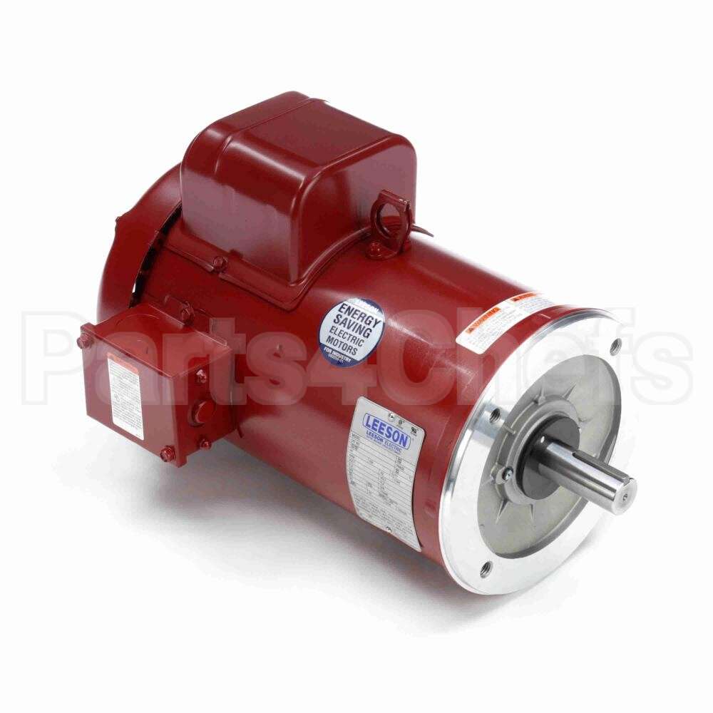 131602 Leeson Motor