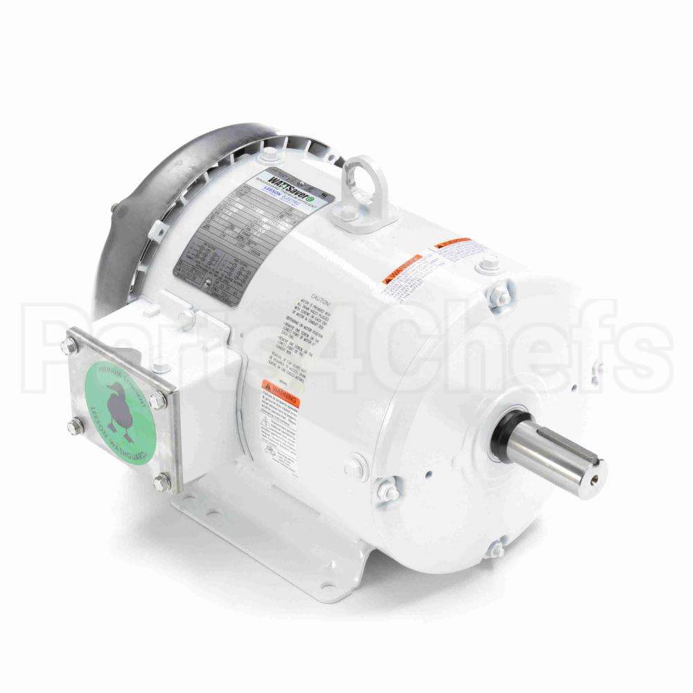 132196 Leeson Motor