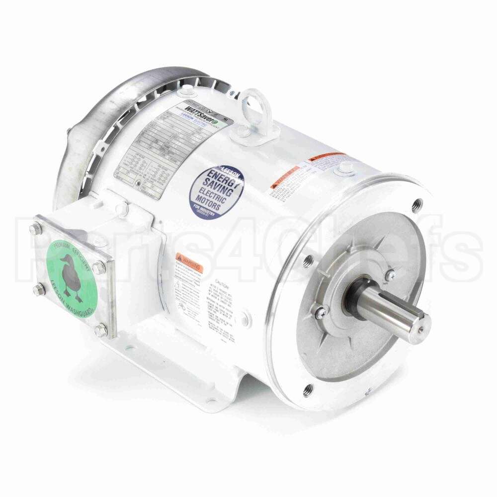 132198 Leeson Motor