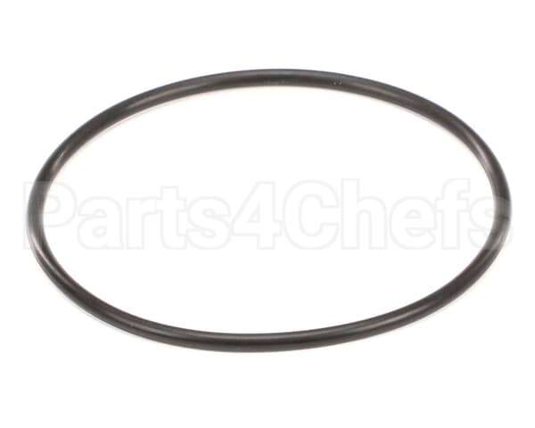 151121 Everpure Costguard O-Ring