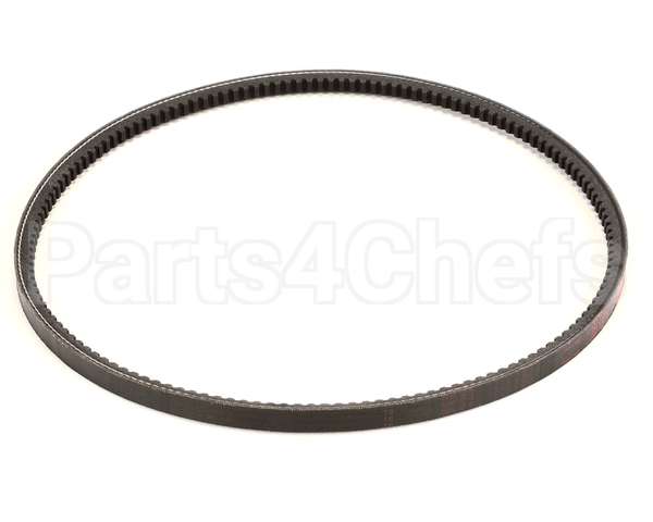 152237 Stoelting Belt
