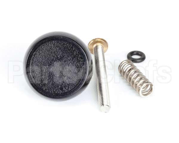 188631 Saniserv Pressure Relief Valve Kit