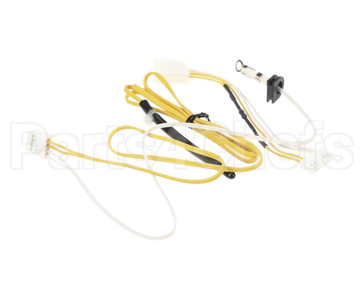 204000032 Rinnai Thermistor Kit