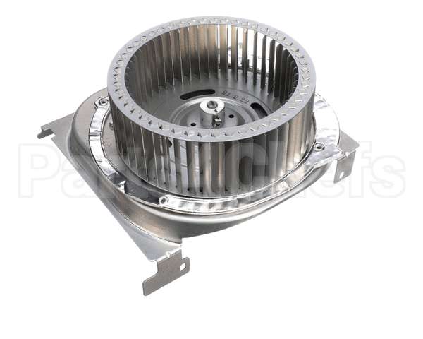 208000060 Rinnai Combustion Fan Total Assy, Ex38C