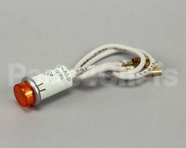 215550 Duke Pilot Light (Amber) 125V Amber