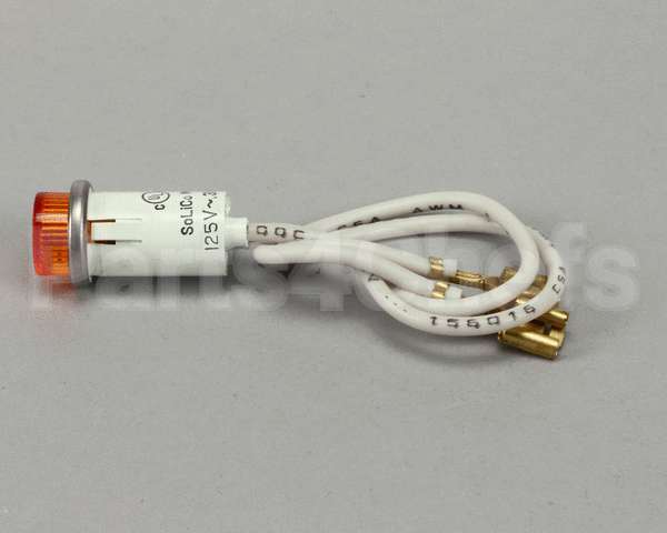 215550 Duke Pilot Light (Amber) 125V Amber