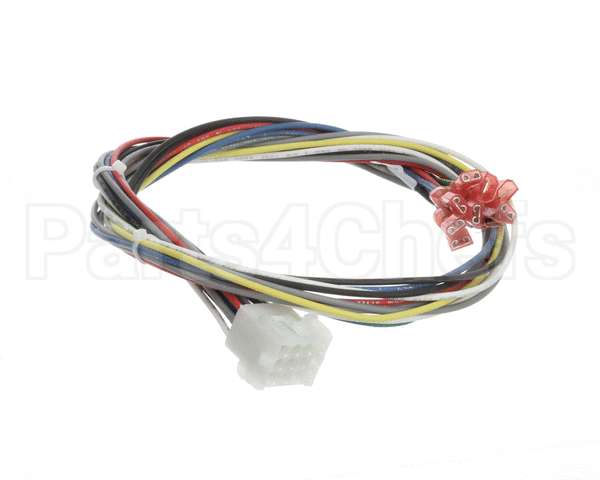 21591 Blodgett Harness,Conduit 2Sp