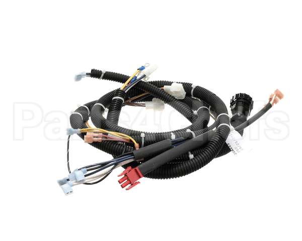22A669 Ultrafryer Cable, Main Bank P3 Ph Basic