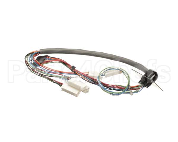 29066.0000 Bunn Wiring Harness,Door Interctpc