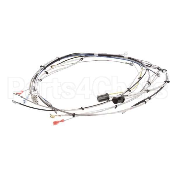 29072.0000 Compatible Bunn Wiringharn, Main-Cdbc120V