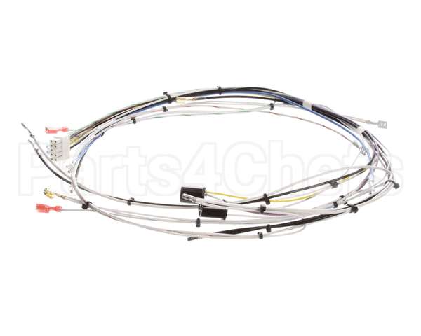 29072.0000 Bunn Wiring Harn,Main-Cdbc 120V