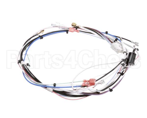 29072.0016 Bunn Wiring Harn,Main 120V 1L/2U