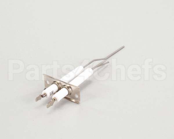 2J-80302-05 Lang Dsi Electrode Assembly