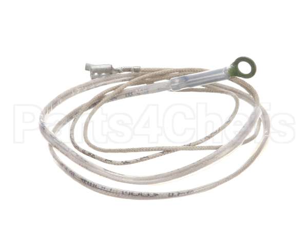 2J-Z16743 Wells Probe-Temp-Rtd-2K